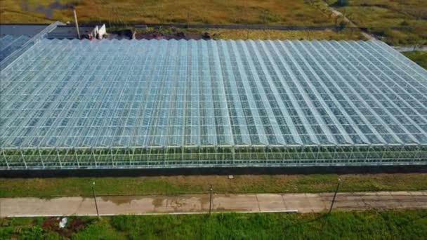 Aerial video of greenhouses — Stock Video