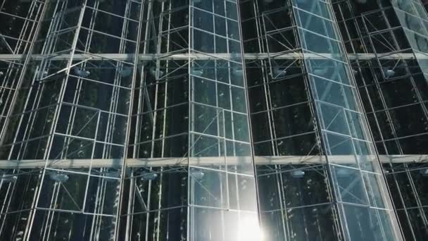 Vidéo aérienne des serres 