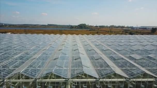 Aerial video of greenhouses — Stock Video