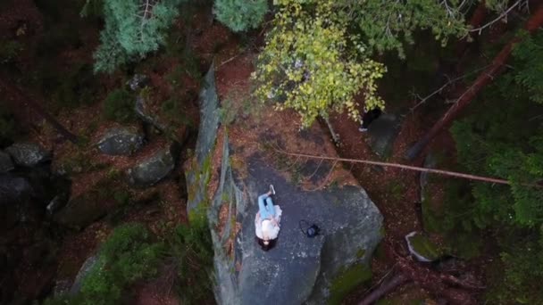 Зверху вниз повітряний безпілотник зображення лісу . — стокове відео