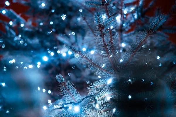 Vánoční stromek s kužely na městské ulici osvětlené věncem. — Stock fotografie