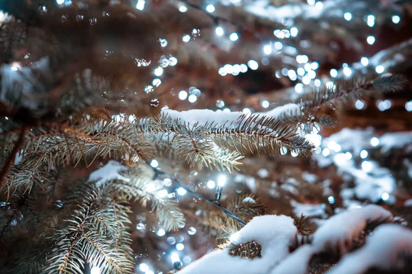 Árvore de Natal com cones em uma rua de cidade iluminada com uma grinalda. — Fotografia de Stock