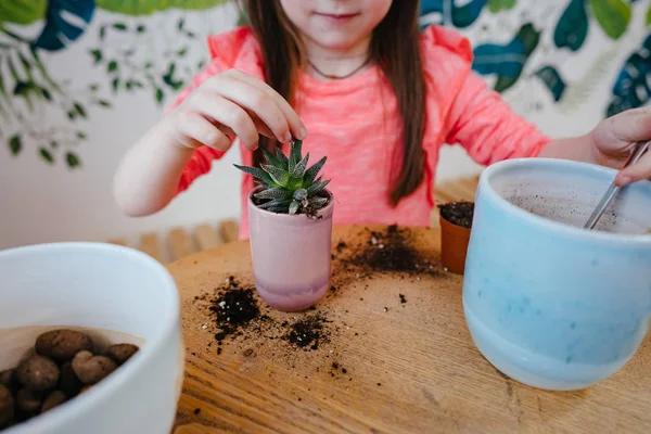 Bambina repiantare una pianta di casa in un altro vaso — Foto Stock