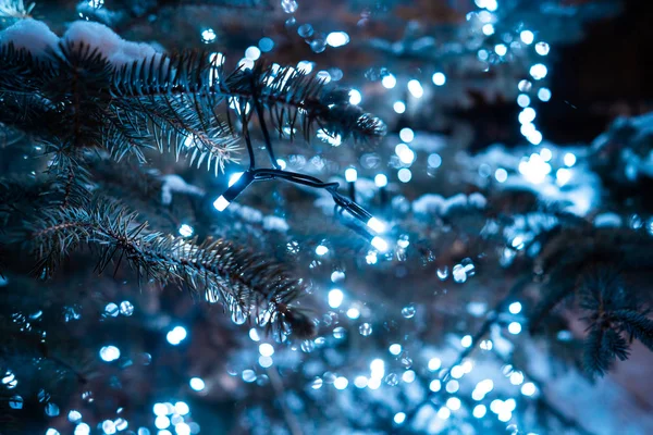 Arbre de Noël avec cônes sur une rue de la ville éclairée par une guirlande. — Photo