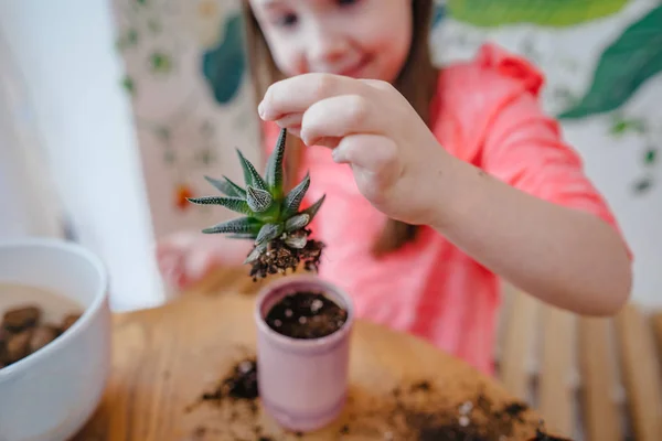 Bambina repiantare una pianta di casa in un altro vaso — Foto Stock