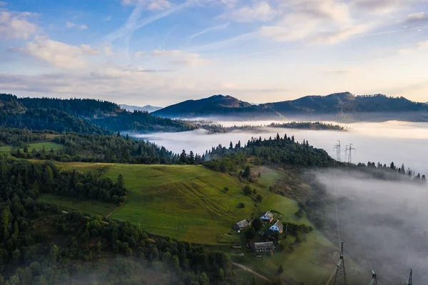 Luchtfoto van kleurrijke gemengd bos, op een mooie herfstdag in ochtend mist gehuld — Stockfoto