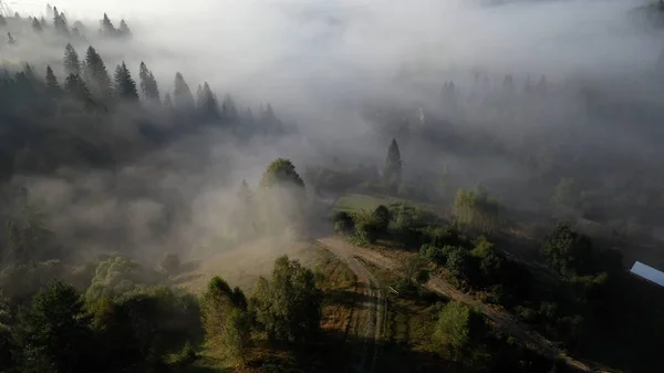 Luchtfoto van kleurrijke gemengd bos, op een mooie herfstdag in ochtend mist gehuld — Stockfoto