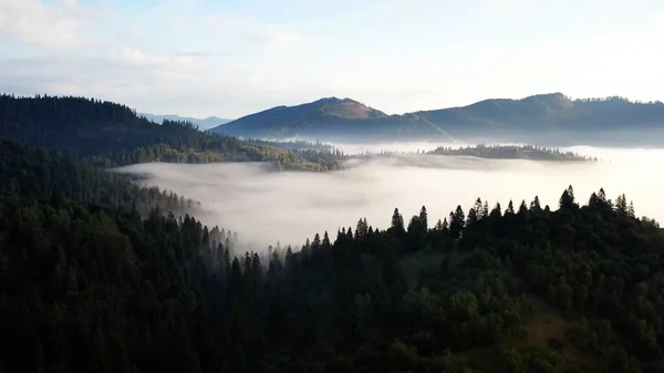 Luchtfoto van kleurrijke gemengd bos, op een mooie herfstdag in ochtend mist gehuld — Stockfoto