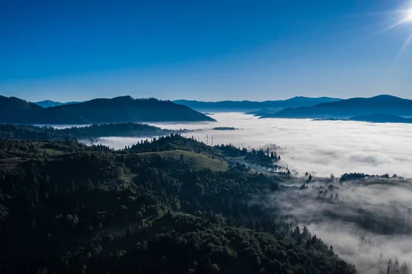 Vue aérienne d'une forêt mixte colorée entourée de brouillard matinal par une belle journée d'automne — Photo