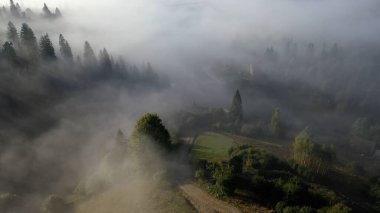 Güzel bir sonbahar gününde, sabah sis kefen renkli karışık orman havadan görünümü