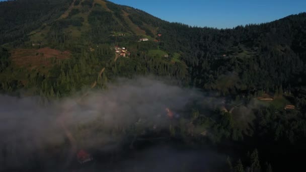 Vista aérea da floresta mista colorida envolta no nevoeiro da manhã em um belo dia de outono — Vídeo de Stock