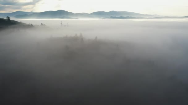 Αεροφωτογραφία του πολύχρωμο μικτό δάσος τυλιγμένη στην ομίχλη το πρωί σε μια όμορφη φθινοπωρινή μέρα — Αρχείο Βίντεο