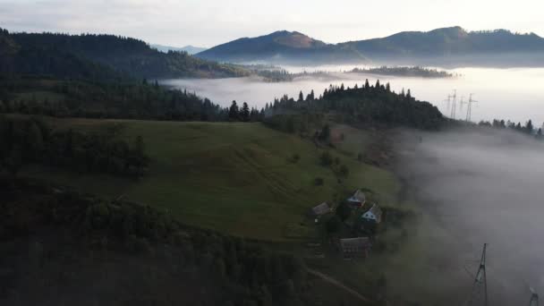 Vista aérea da floresta mista colorida envolta no nevoeiro da manhã em um belo dia de outono — Vídeo de Stock