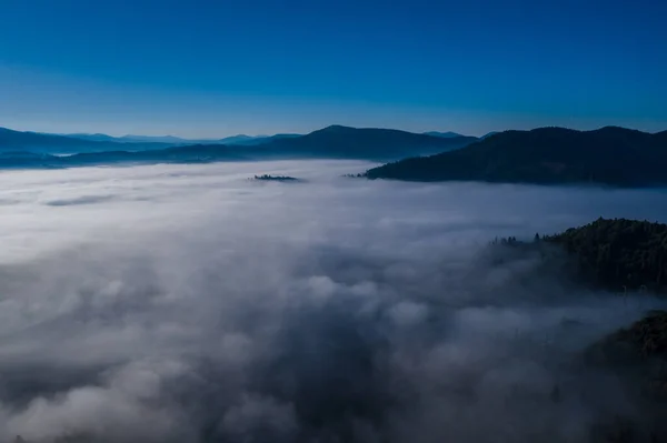 Luchtfoto van kleurrijke gemengd bos, op een mooie herfstdag in ochtend mist gehuld — Stockfoto