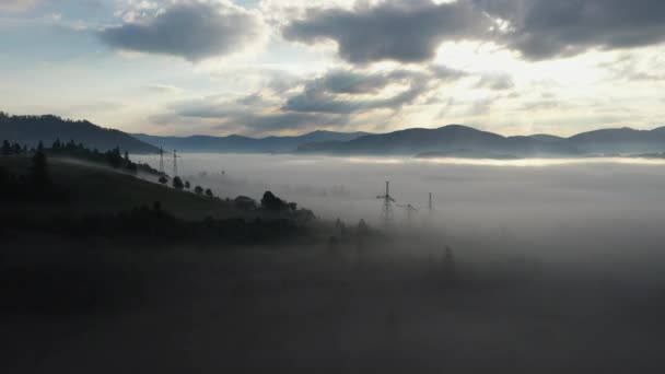 Вид з повітря на різнокольоровий змішаний ліс, оповитий ранковим туманом в красивий осінній день — стокове відео