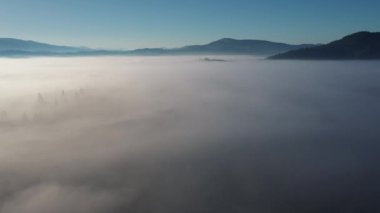 Güzel bir sonbahar gününde, sabah sis kefen renkli karışık orman havadan görünümü