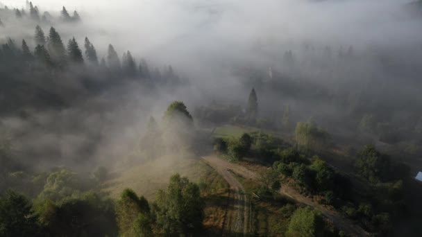 Vue aérienne d'une forêt mixte colorée entourée de brouillard matinal par une belle journée d'automne — Video