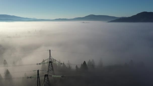 Vue aérienne d'une forêt mixte colorée entourée de brouillard matinal par une belle journée d'automne — Video