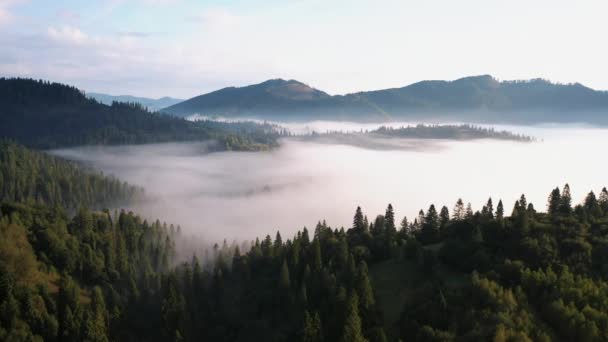 Flygfoto över färgglada blandskog höljt i dimma på morgonen på en vacker höstdag — Stockvideo