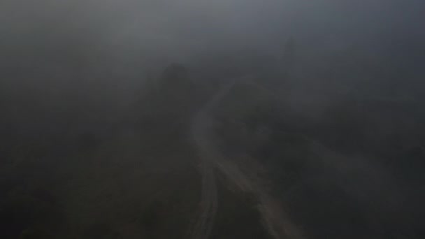 Luchtfoto van kleurrijke gemengd bos, op een mooie herfstdag in ochtend mist gehuld — Stockvideo