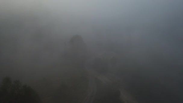 Vista aérea del colorido bosque mixto envuelto en niebla matutina en un hermoso día de otoño — Vídeo de stock