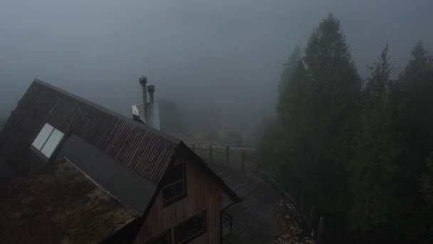 Árvores e casa em nevoeiro — Vídeo de Stock