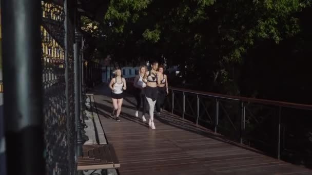 Gezond levensstijl concept. Sportmeisjes. Atletische jonge vrouwen die ochtendoefeningen doen. — Stockvideo