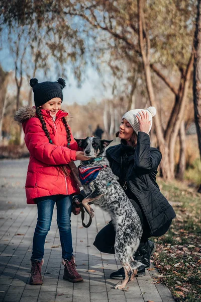 Lycklig mamma och hennes dotter går med hund i höstparken — Stockfoto