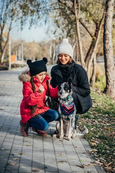 Feliz madre y su hija jugando con el perro en el parque de otoño — Foto de Stock