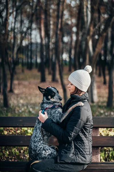 Una chica sostiene a un perro mestizo en sus brazos. Cuidado de los animales . — Foto de Stock