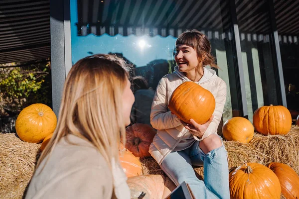 Girls have fun among pumpkins and haystacks on a city street — Stock Photo, Image
