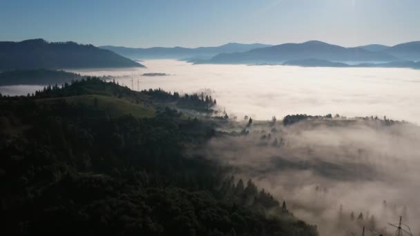 Vedere aeriană a pădurii colorate amestecate învăluite în ceață de dimineață într-o zi frumoasă de toamnă — Videoclip de stoc