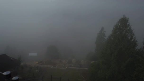 Árboles y casa en la niebla — Vídeo de stock