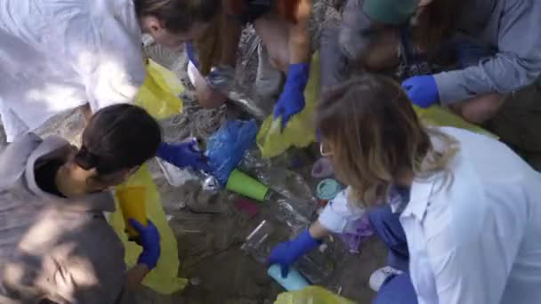Grupo de ativistas amigos coletando resíduos de plástico no parque. Conservação do ambiente . — Vídeo de Stock