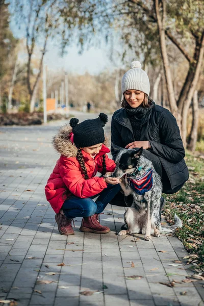 Lycklig mamma och hennes dotter leker med hunden i höstparken — Stockfoto