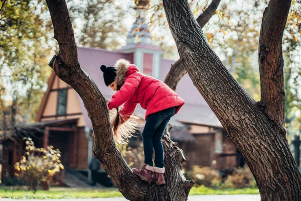 Petite fille pour grimper à un arbre — Photo