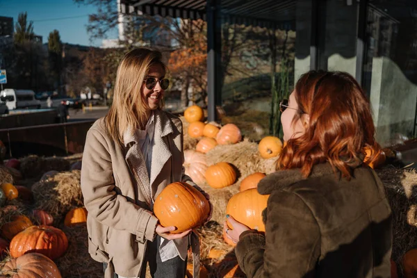 Las niñas tienen calabazas en las manos. Foto al aire libre . —  Fotos de Stock