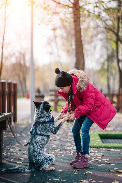 Flicka barn leker med hund i höst solig park, löv falla — Stockfoto