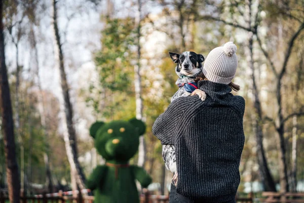 Bir kız melez bir köpeği kollarında tutuyor. Hayvanlarla ilgilenmek.. — Stok fotoğraf
