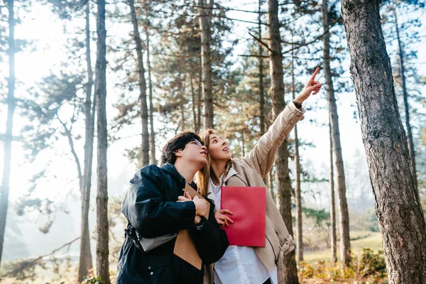 Scientists are studying plant species in the forest. Scientist ecologist inspect trees — Stock Photo, Image