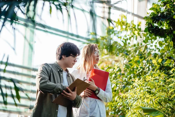 Young agricultural engineers working in greenhouse — Stock Photo, Image