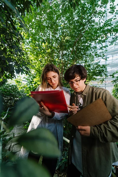 Young agricultural engineers working in big greenhouse — Stock Photo, Image