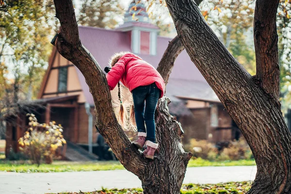 Bir ağaca tırmanmaya küçük kız — Stok fotoğraf