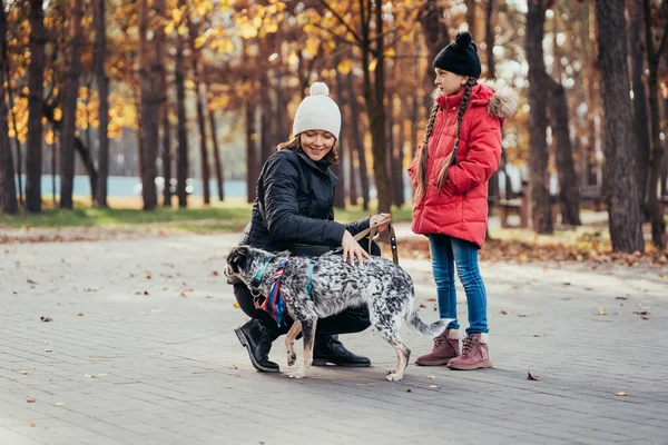 Mère heureuse et sa fille jouant avec le chien dans le parc d'automne — Photo