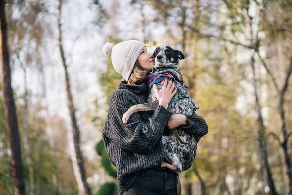 Una chica sostiene a un perro mestizo en sus brazos. Cuidado de los animales . — Foto de Stock