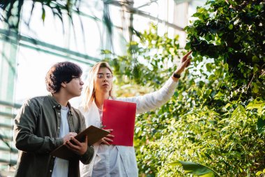 Serada çalışan genç tarım mühendisleri