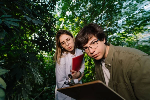 Young agricultural engineers working in big greenhouse