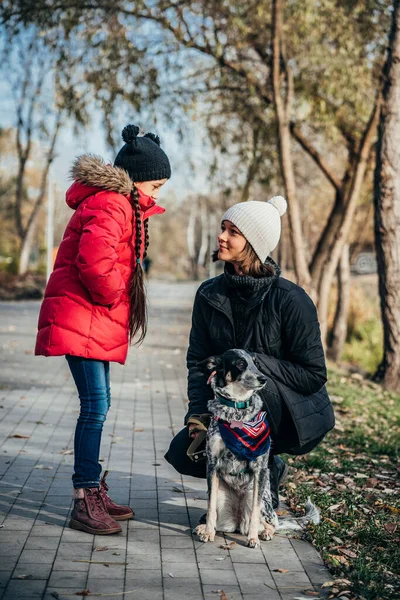 Lycklig mamma och hennes dotter leker med hunden i höstparken — Stockfoto