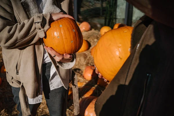Girls holds pumpkins in hands. Outdoor photo. — Stock Photo, Image