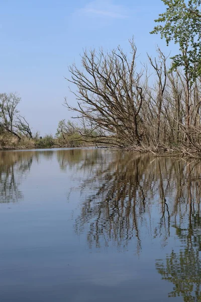 Weerspiegeling Agua Het — Foto de Stock